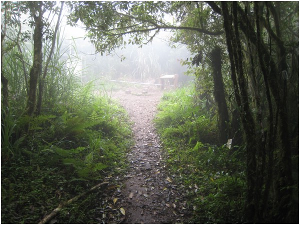 都蘭山三角點4.jpg