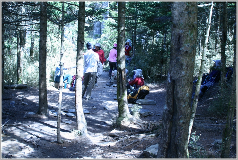 嘉明湖106-回登山口途中小休.JPG