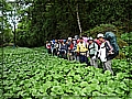 2010-05-01_10-22-18-山葵園.JPG