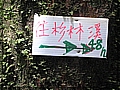 2010-05-02_09-44-39-鹿屈山-杉林溪林道叉路.JPG