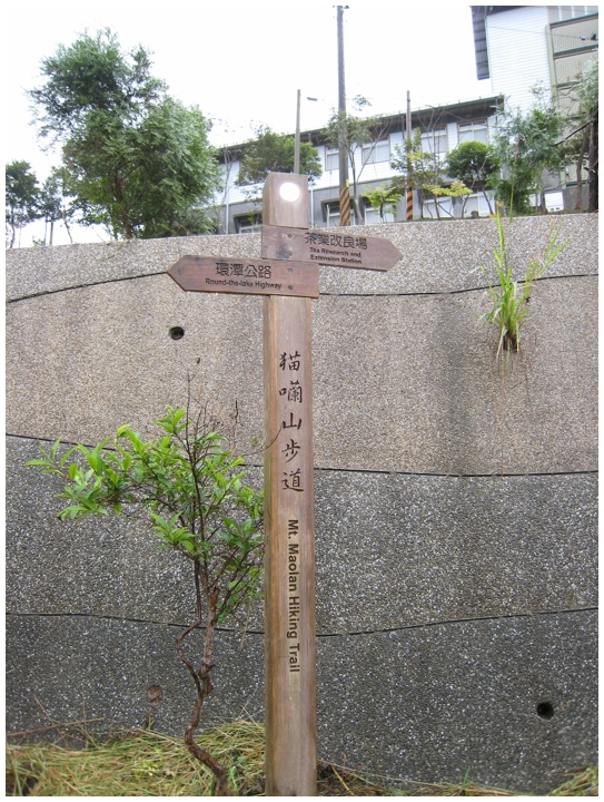 056路過茶改場.JPG